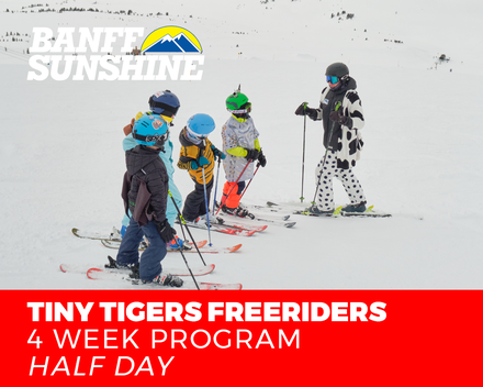 Freeriders 4 Weeks Tiny Tiger Ski - Mornings