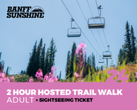 2 Hour Walk and Lift Ticket - Adult (18+)