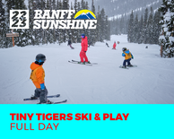 4 Full Days Tiny Tiger Ski & Play Ski Only (3-6 Years)