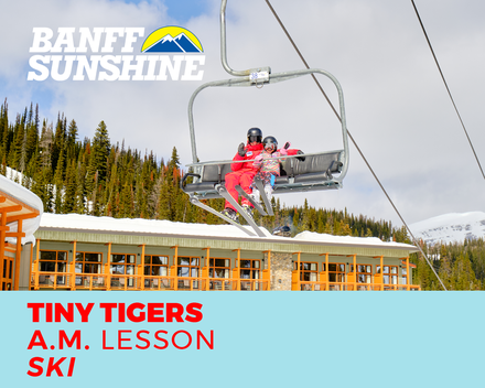 Tiny Tigers Half Day AM Ski Lesson (3-6Yrs)