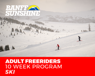 Freeriders 10 Week Adult Ski (18+)