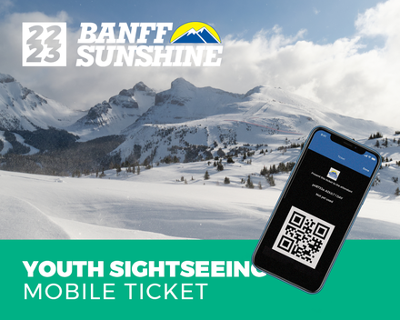 1 Day Mobile Sightseeing - Youth (Ages: 13-17)