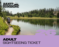 Adult Sightseeing Ticket