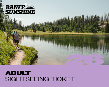 Adult Sightseeing Ticket