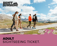 Adult Sightseeing Ticket