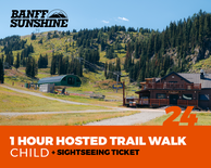 1 Hour Walk and Lift Ticket - Child (6-12yrs)