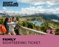 Family Sightseeing Ticket