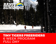 Freeriders 6 Weeks Tiny Tiger Ski (3-6 Yrs)