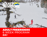 Freeriders 6 Week Adult Ski (18+)