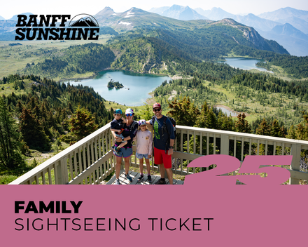 Family Sightseeing Ticket