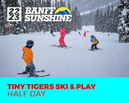 Tiny Tiger Ski & Play Ski Only Half Day AM (3-6 Years)