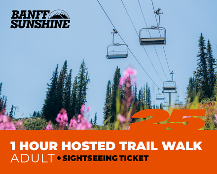 1 Hour Walk and Lift Ticket - Adult (18+)