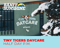 Tiny Tigers Daycare Half Day PM (19mths - 6yrs)