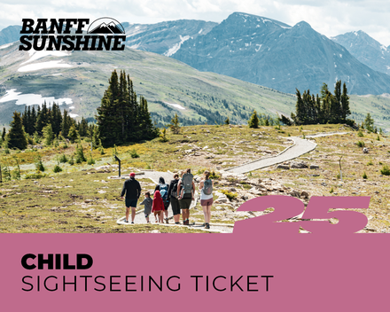 Child Sightseeing Ticket