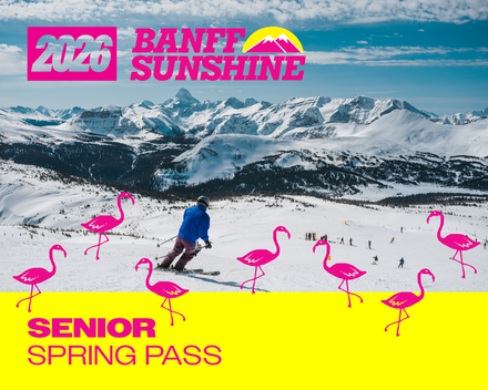 Spring Pass - Senior