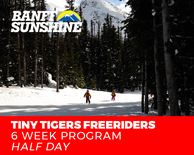 Freeriders 6 Week Tiny Tiger Ski - Afternoons