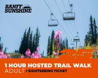 1 Hour Walk and Lift Ticket - Adult (18+)
