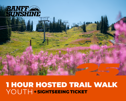 1 Hour Walk and Lift Ticket - Youth (6-17yrs)