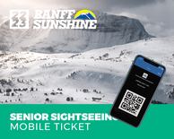 1 Day Mobile Sightseeing - Senior (Ages: 65+)