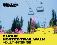 2 Hour Walk and Lift Ticket - Adult (18+)