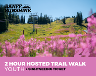 2 Hour Walk and Lift Ticket - Youth (13-17yrs)