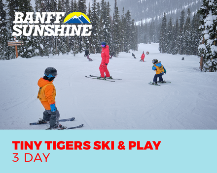 Tiny Tigers 3 Full Days Ski & Play (3-6yrs)