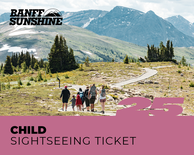 Child Sightseeing Ticket