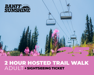 2 Hour Walk and Lift Ticket - Adult (18+)
