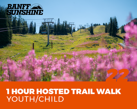 1 Hour Hosted Trail Walk - Youth/Child
