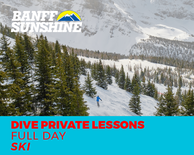 Full Day Delirium Dive Private Ski Lesson (18+yrs)