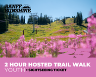 2 Hour Walk and Lift Ticket - Youth (6-17yrs)