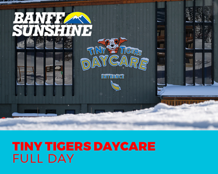 Tiny Tigers 3 Full Days Daycare Only (19mths - 6yrs)