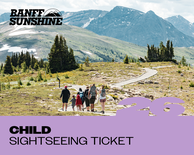 Child Sightseeing Ticket