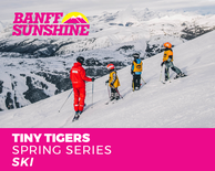 Spring Series Tiny Tigers Ski (3-6 Years)