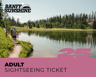 Adult Sightseeing Ticket