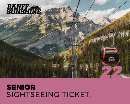 Senior Sightseeing Ticket