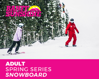Spring Series Adult Snowboard (18+yrs)