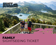Family Sightseeing Ticket