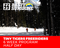 Tiny Tiger Freeriders Half Day PM 6 Week Ski Only (3-6 Years)