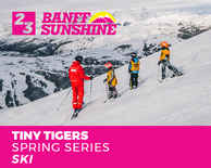 Spring Series Half Day AM Tiny Tigers Ski Only (3-6 Years)