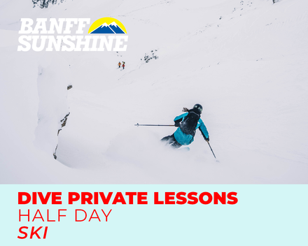 Private Lesson Delirium Dive Half Day Ski (18+Yrs)