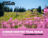 2 Hour Hosted Walk and Sightseeing - Youth/Child