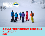 Adult/Teen Half Day Group Ski Lesson (13+)