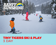 Tiny Tigers 3 Full Days Ski & Play (3-6yrs)