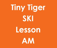 Tiny Tigers Half Day AM Ski Lesson (3-6Yrs)