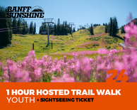 1 Hour Walk and Lift Ticket - Youth (13-17yrs)