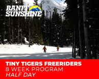 Tiny Tiger Freeriders 8-Weeks Half Day AM Ski (3-6Yrs)