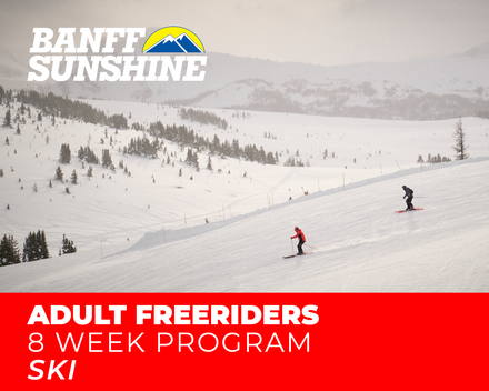 Adult Freeriders 8-Weeks Ski (18+yrs)