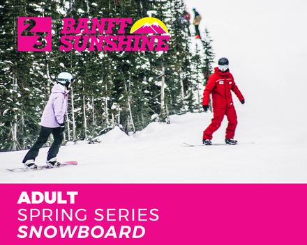 Spring Series Adult Snowboard (18+)