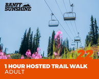 1 Hour Hosted Trail Walk - Adult